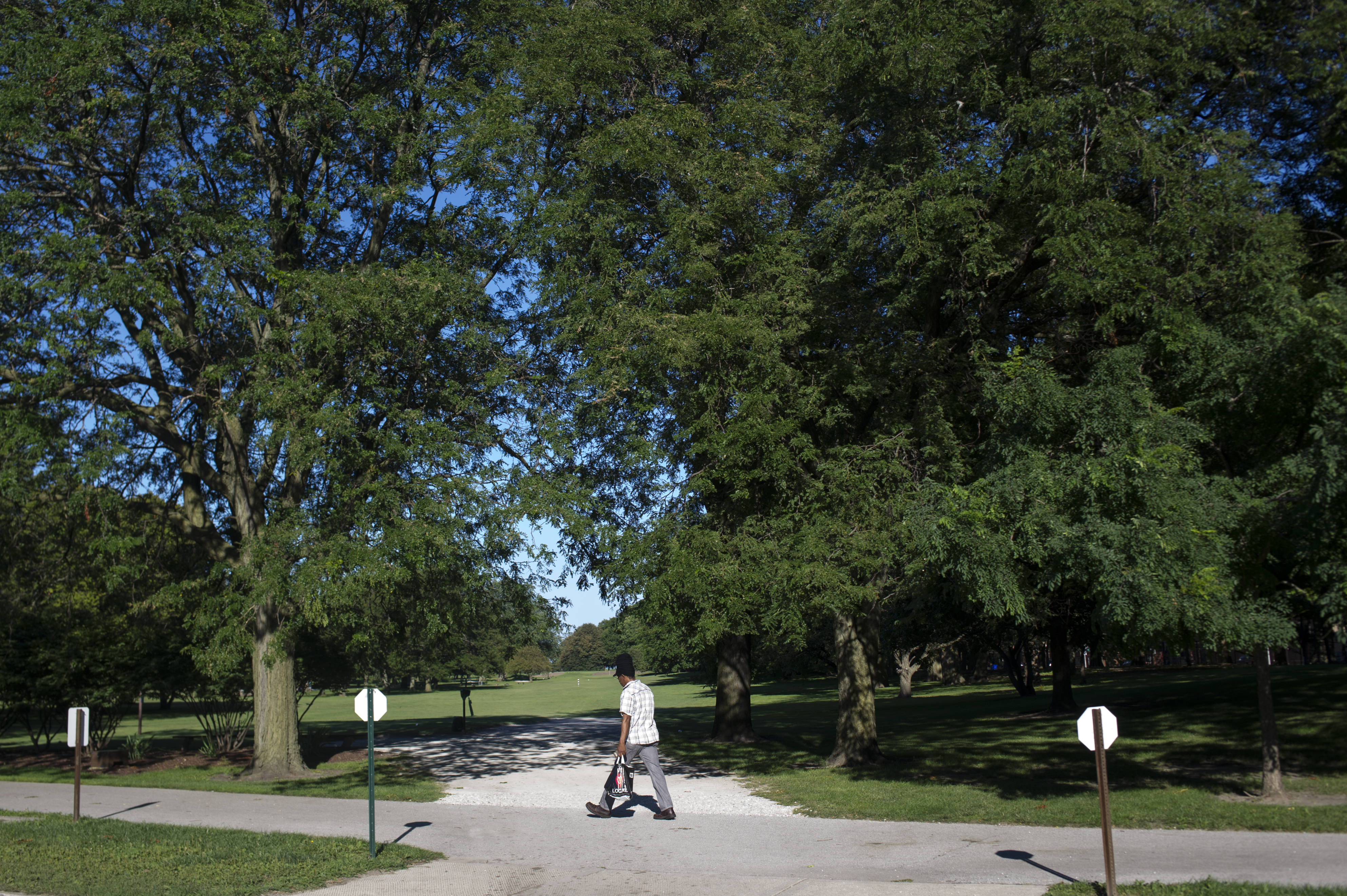 Jackson Park:South Shore Cultural Center Access #013