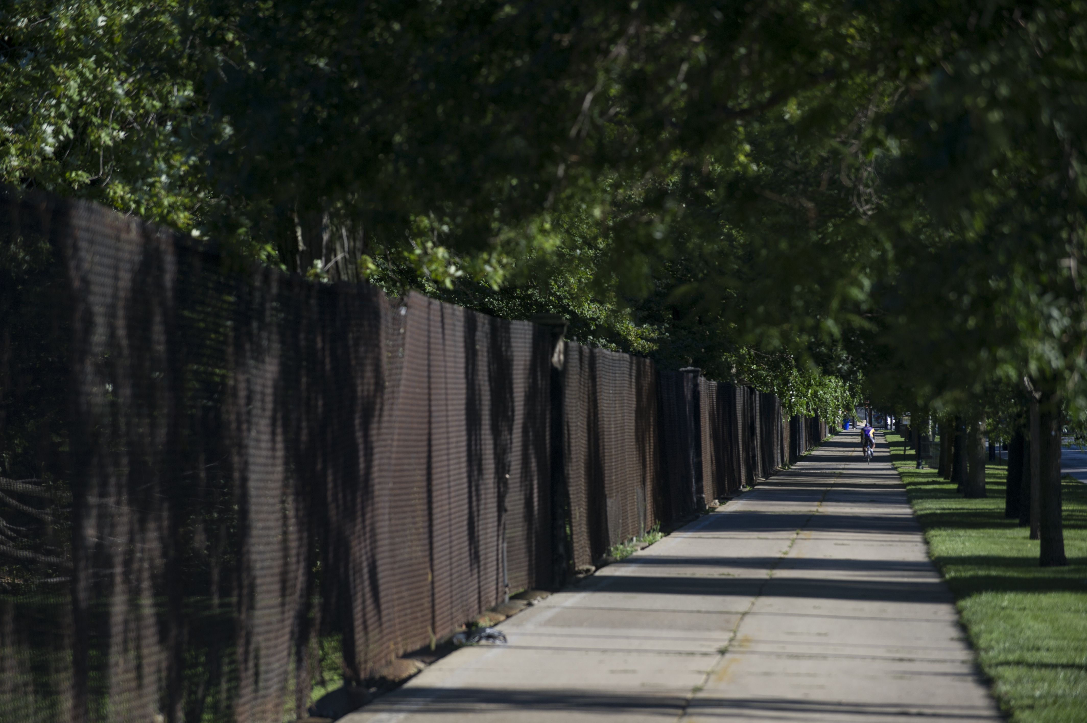 Jackson Park:South Shore Cultural Center Access #018